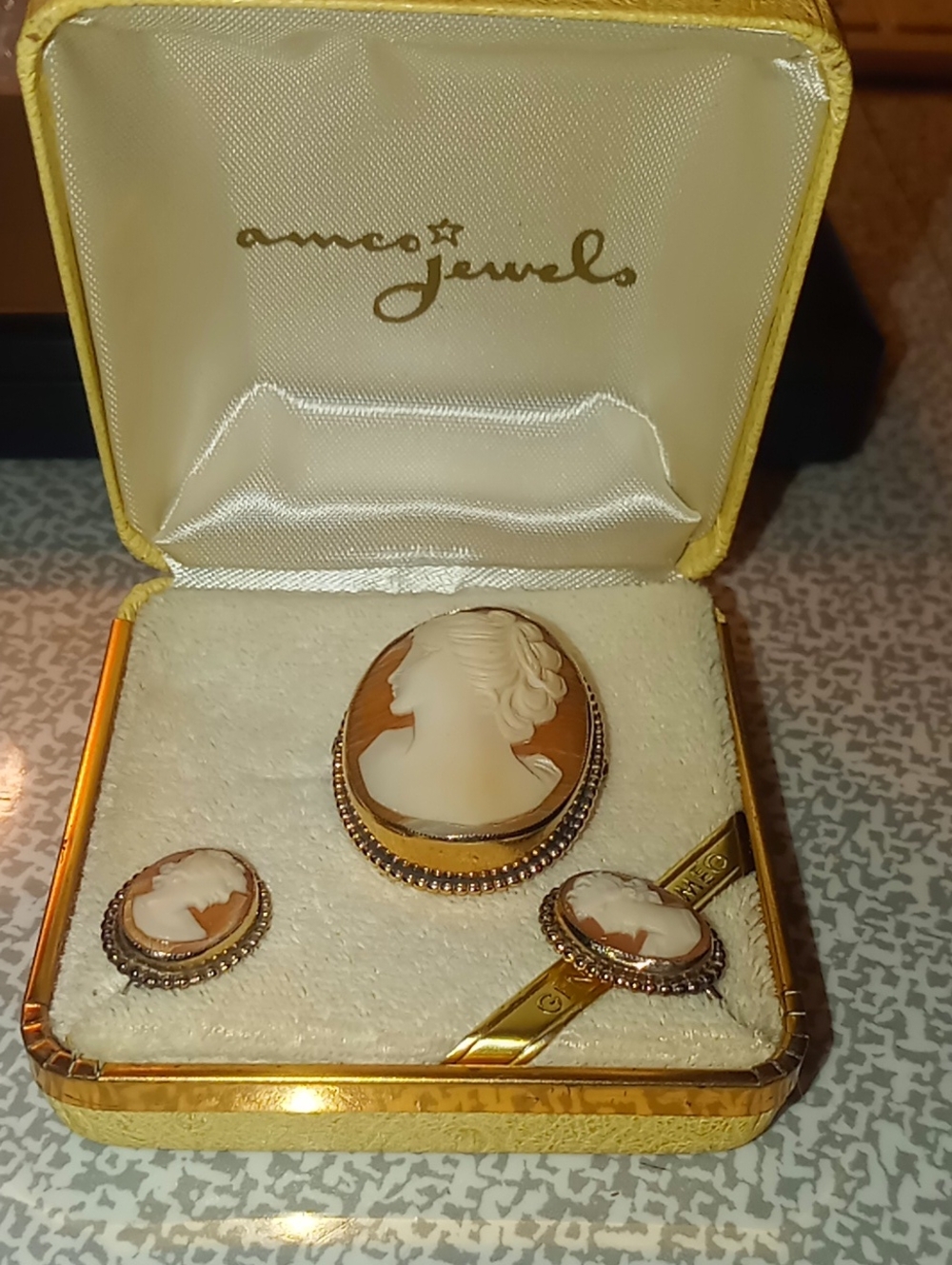 Vintage Amco Cameo Jewelry Set in Brown and Cream
